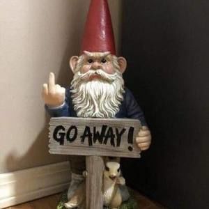 Meet your Posher, Bella